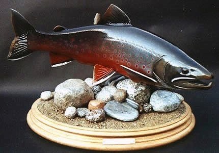 23’’, 7 lbs Arctic Char on Maple base with carved wooden rocks