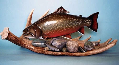 Labrador Brookie on Moose antler

Note: The rock habitat is also made of wood, as is the 6" white fish that is a major food source

Pic. 1 of 2