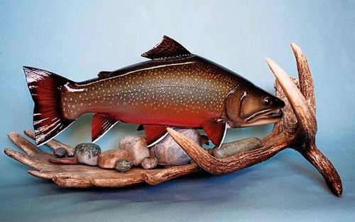 Labrador Brookie on Moose antler

Note: The rock habitat is also made of wood, as is the 6" white fish that is a major food source

Pic. 2 of 2