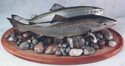 Two 31" Spawning Atlantic Salmon on Walnut Base with carved rocks.

Note: As the title implies, these magnificent fish will only have a future if we clean up their habitat.