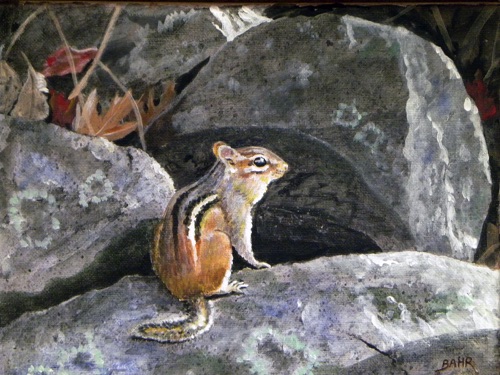 "Chippy on Stone Wall"

8''x 10''