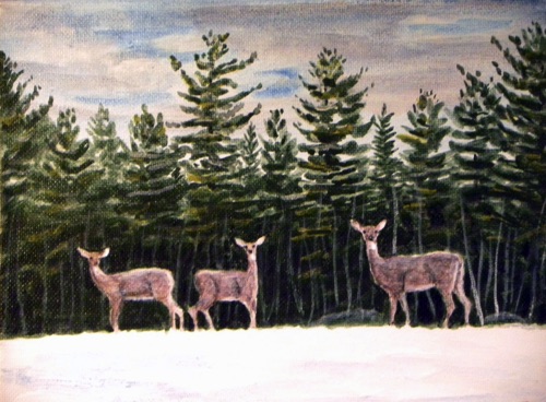 "3 Deer"

8 x 10