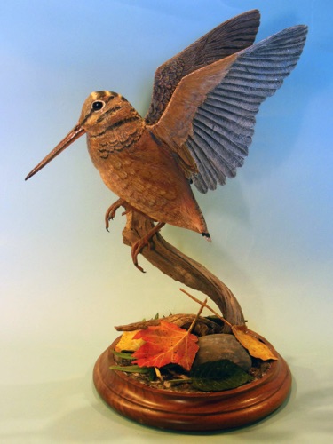 American woodcock, carved from Tupelo.
Leaves were made from grocery bag paper.

1 of 2