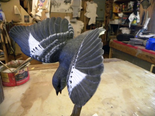 A Woman came to see Gene with 3 of her fathers recently acquired wood carvings. They had been abused, and sadly this Fly Catcher had the delicate tail broken off. 

1 of 2