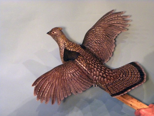 Ruffed Grouse carving

1 of 2