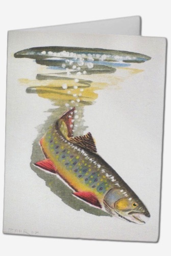 “Brook Trout Parr”

Greeting Card