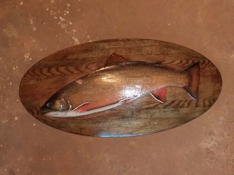 Nash of Maine Brook Trout
(After)