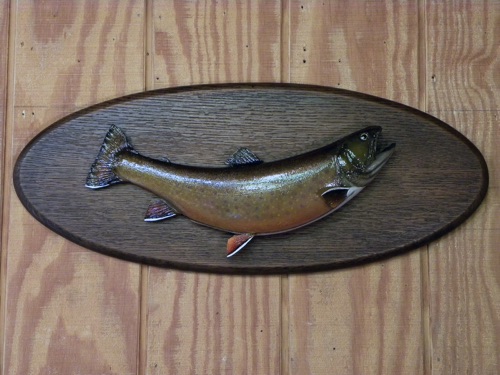 A Hurb Welch Brook Trout 
(After)
2 of 2