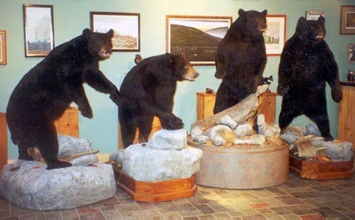 Four bears

Note: Each on a unique pedestal.