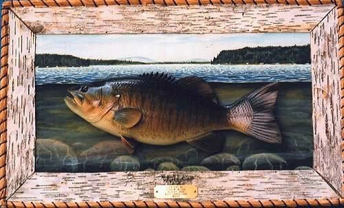Smallmouth Bass, with acrylic painting and Birch Bark frame. (Detailed)
