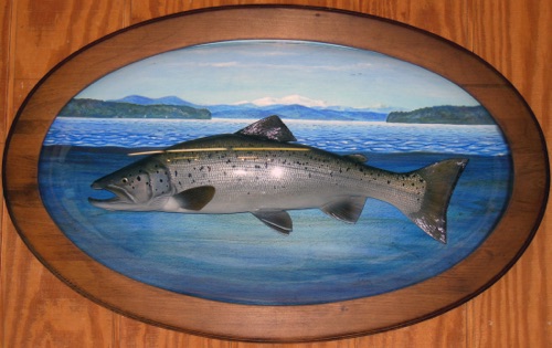 24'' landlocked Salmon

(hand painted scene of Sebago lake with Mt. Washington in the background, under an acrylic bubble)