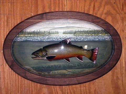 19’’ Brook Trout mounted on a solid Walnut panel, with a hand painted scene placed under an Acrylic Bubble.