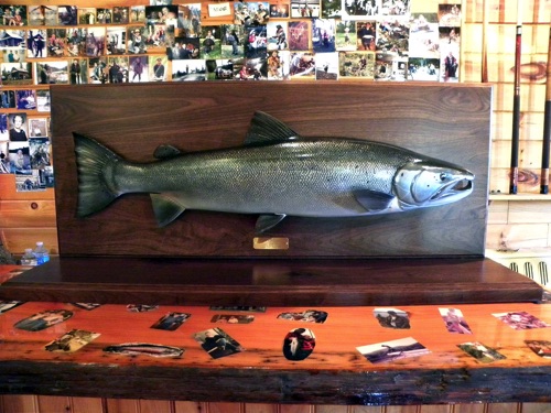 42'' Atlantic Salmon

(base and panel can be set on a mantel, 
or hung on a wall)

1 of 2