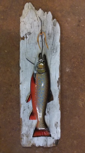 An 18 inch Brook Trout on driftwood board.