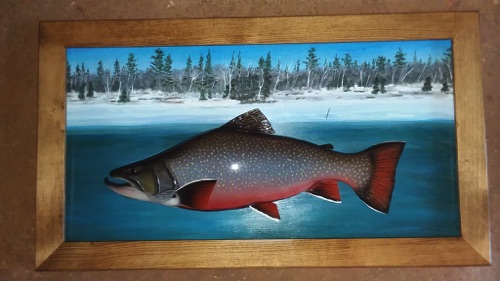 7 pound, 4 oz. Brook Trout caught at Moosehead Lake, Maine