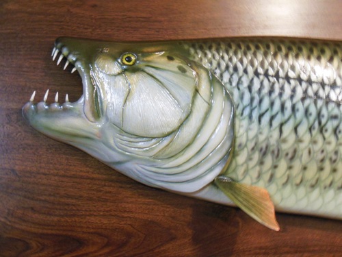 Gene used 1/4 '' birch dowel to carve the teeth on this Tiger Fish