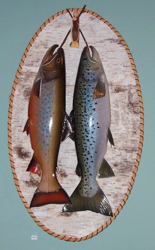 A Brook Trout and Salmon mounted on a Birch plaque.
