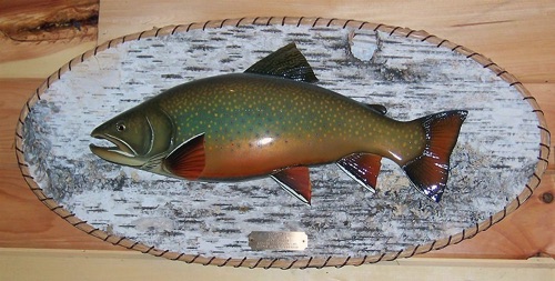 Large Brooktrout on Birch 
Bark panel.