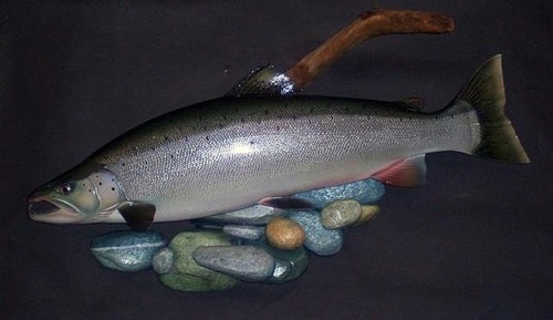 Atlantic Salmon (Detailed)

Note: This piece will be displayed at the Federal Fish and Wildlife, National Conservation Training Center.

Pic. 1 of 2